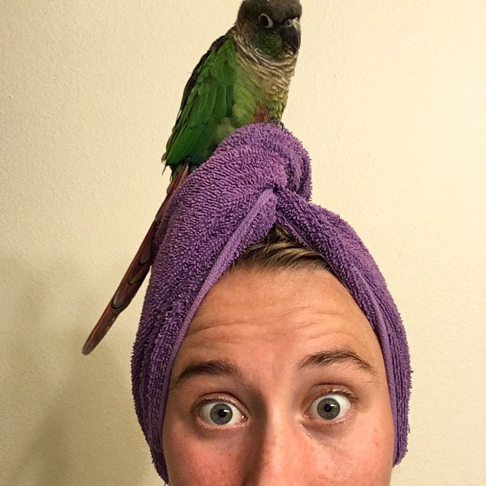 Meet your Posher, Bonnie